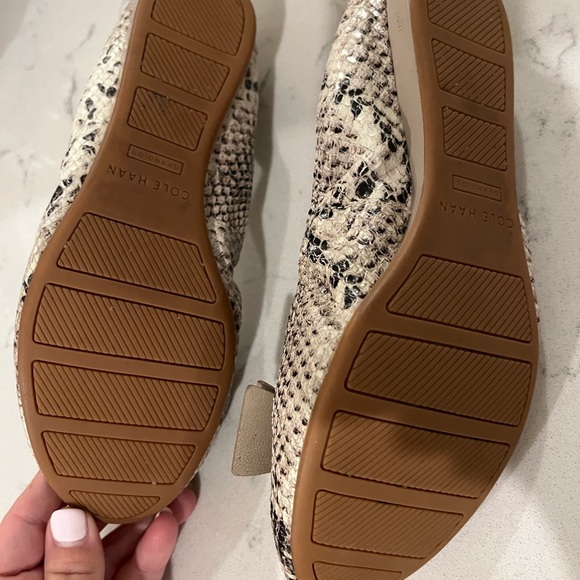 Snake Print Ballet Flats - Picture 2 of 3